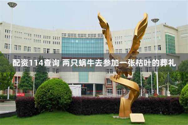 配资114查询 两只蜗牛去参加一张枯叶的葬礼