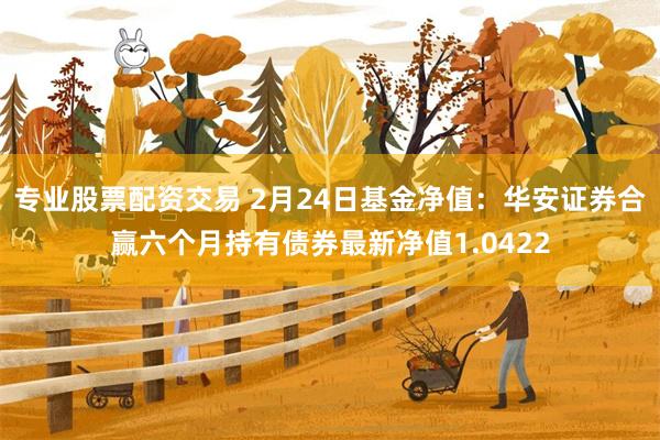 专业股票配资交易 2月24日基金净值：华安证券合赢六个月持有债券最新净值1.0422