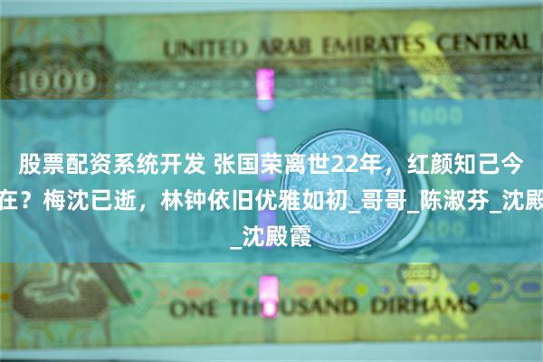 股票配资系统开发 张国荣离世22年，红颜知己今安在？梅沈已逝，林钟依旧优雅如初_哥哥_陈淑芬_沈殿霞