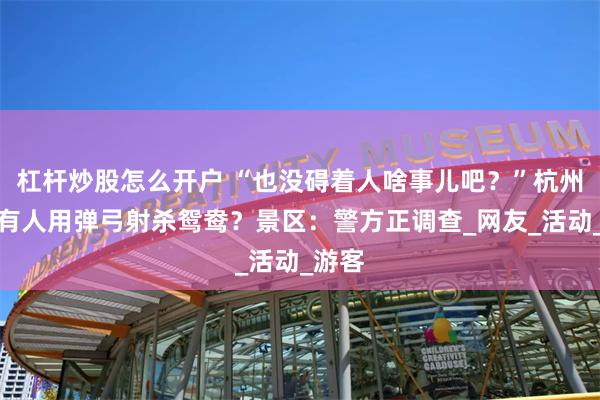 杠杆炒股怎么开户 “也没碍着人啥事儿吧？”杭州西湖有人用弹弓射杀鸳鸯？景区：警方正调查_网友_活动_游客