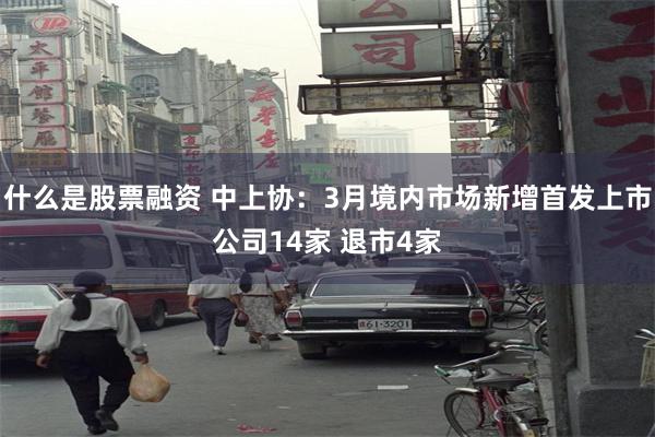 什么是股票融资 中上协：3月境内市场新增首发上市公司14家 退市4家