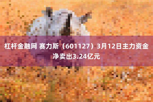 杠杆金融网 赛力斯（601127）3月12日主力资金净卖出3.24亿元