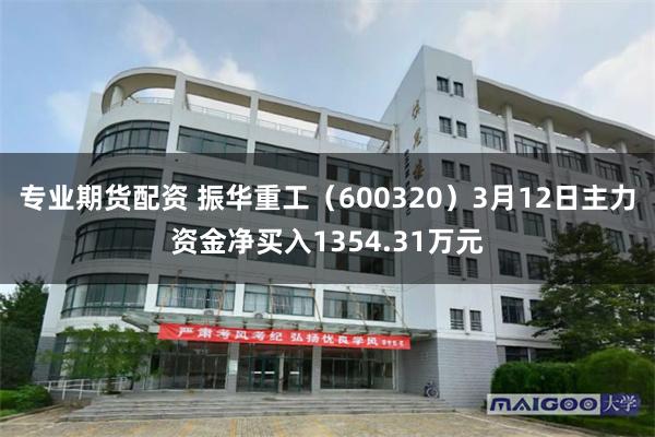 专业期货配资 振华重工（600320）3月12日主力资金净买入1354.31万元
