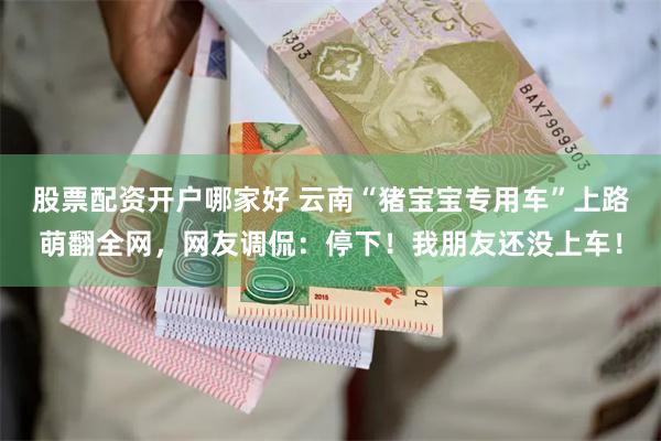 股票配资开户哪家好 云南“猪宝宝专用车”上路萌翻全网，网友调侃：停下！我朋友还没上车！