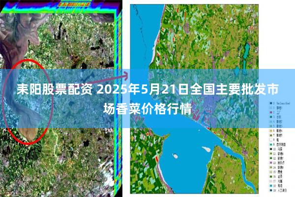 耒阳股票配资 2025年5月21日全国主要批发市场香菜价格行情