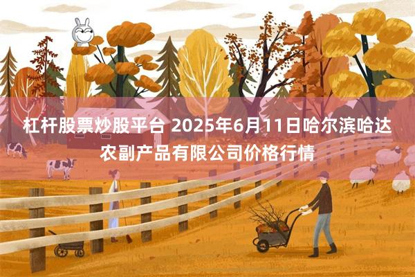 杠杆股票炒股平台 2025年6月11日哈尔滨哈达农副产品有限公司价格行情