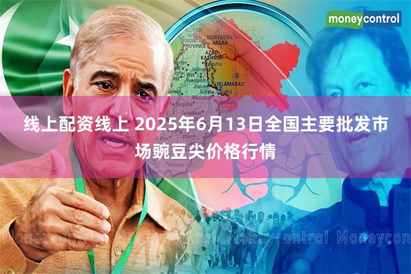 线上配资线上 2025年6月13日全国主要批发市场豌豆尖价格行情