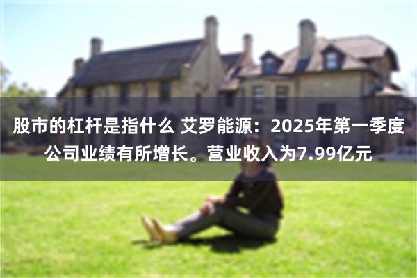 股市的杠杆是指什么 艾罗能源：2025年第一季度公司业绩有所增长。营业收入为7.99亿元