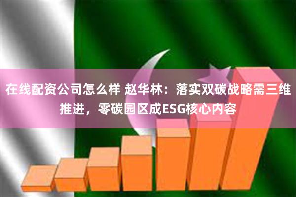 在线配资公司怎么样 赵华林：落实双碳战略需三维推进，零碳园区成ESG核心内容