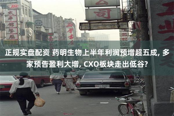 正规实盘配资 药明生物上半年利润预增超五成, 多家预告盈利大增, CXO板块走出低谷?