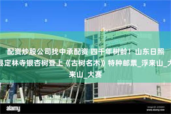 配资炒股公司找中承配资 四千年树龄！山东日照莒县定林寺银杏树登上《古树名木》特种邮票_浮来山_大赛