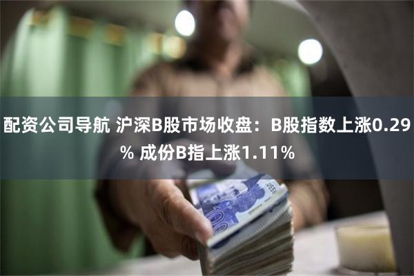 配资公司导航 沪深B股市场收盘：B股指数上涨0.29% 成份B指上涨1.11%