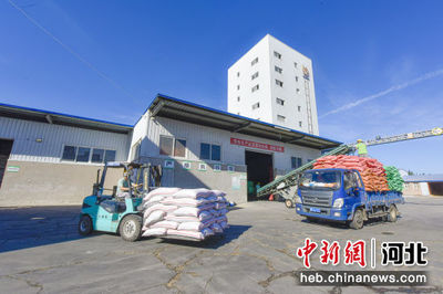 飼料產業助力畜牧漁業發展，廊坊廣陽區太鴻飼料廠產銷兩旺